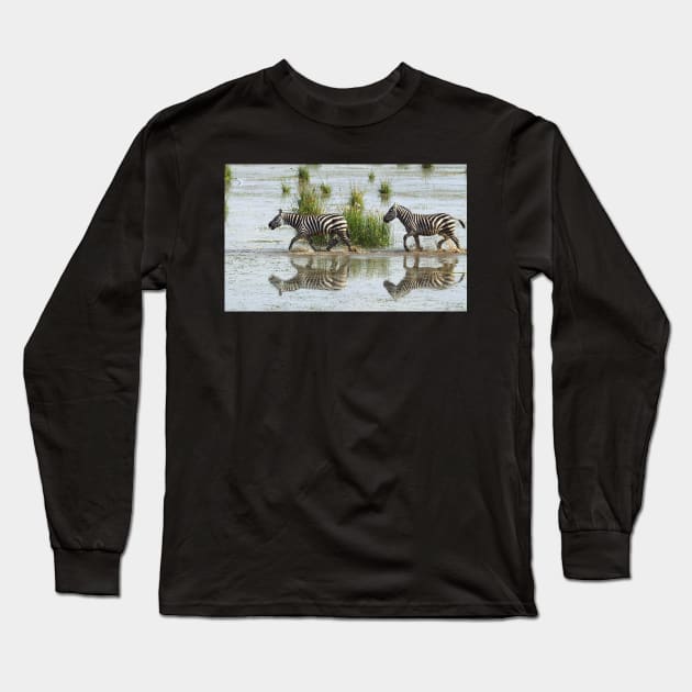 Zebras Cantering Across The Swamp Long Sleeve T-Shirt by Carole-Anne